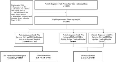 Construction and validation of a clinical predictive nomogram for intraductal carcinoma of the prostate based on Chinese multicenter clinical data